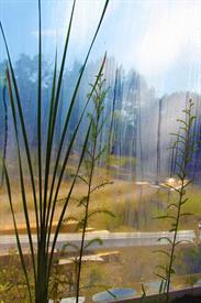 Wall Decor Wallpaper, Living Walls